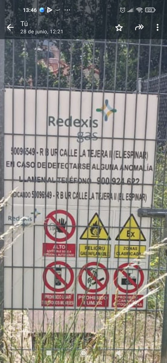 Hernando tweet media