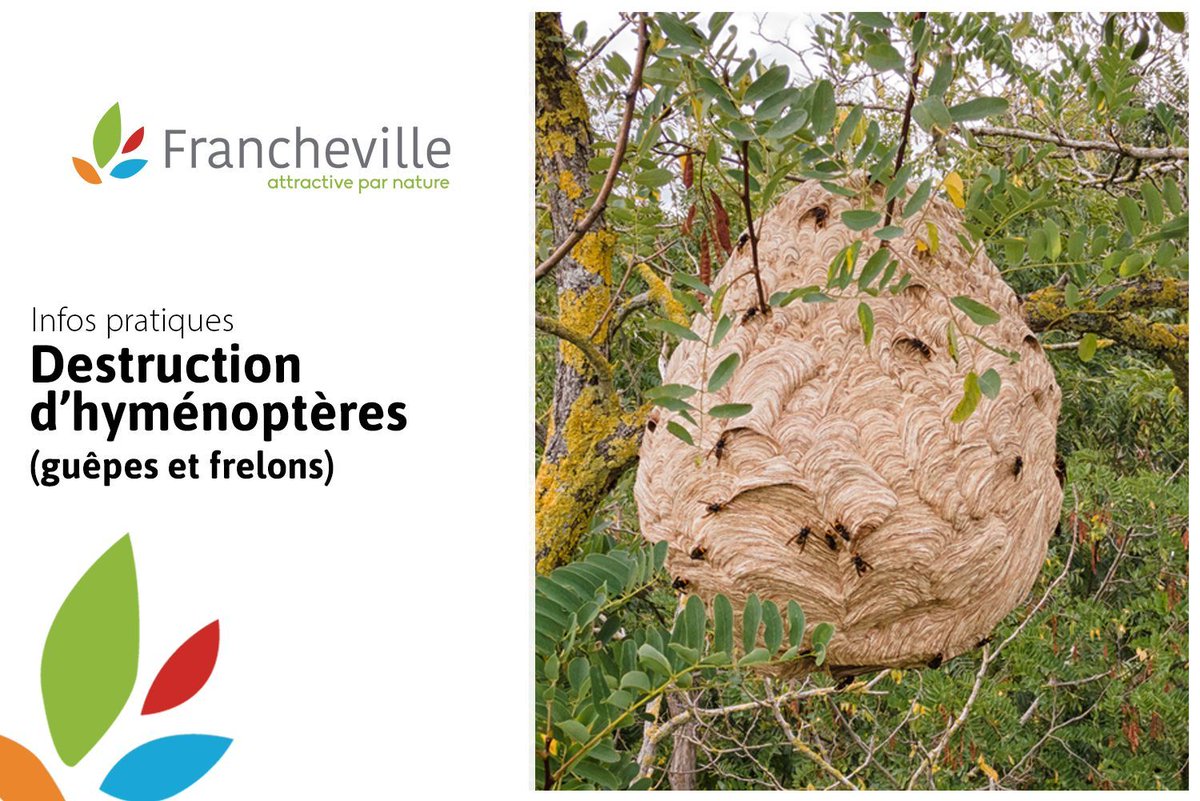 [INFOS PRATIQUES]

▶À compter de cet été, le Service Départemental-Métropolitain d'Incendie et de Secours (SDMIS) ne procédera plus à la destruction d'hyménoptères (guêpes, frelons) à l'exception de situations d'urgences avérées.