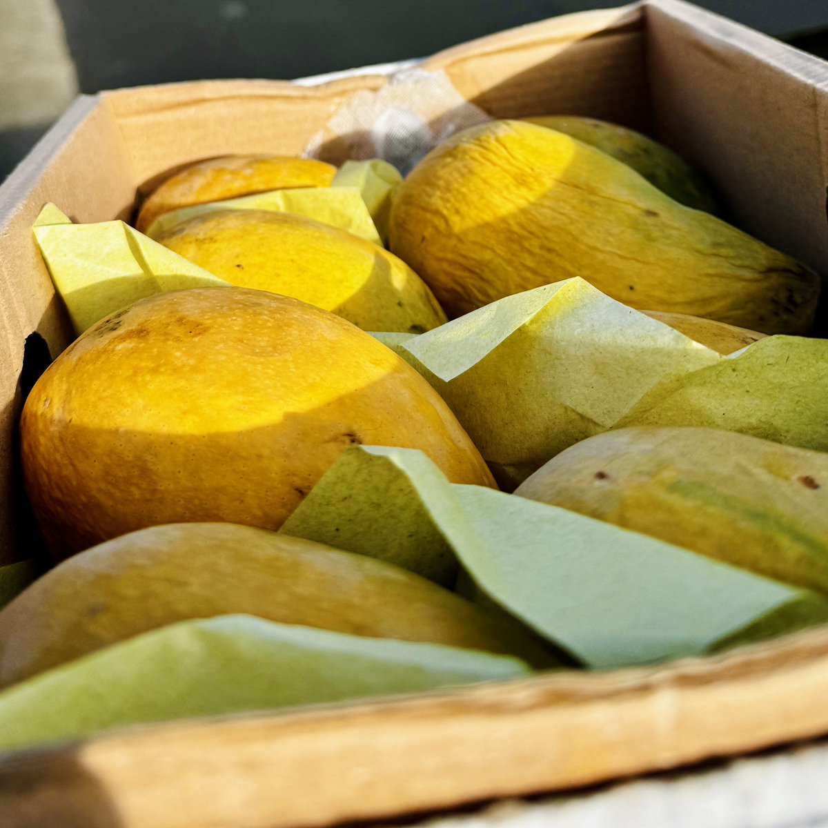 YsoSersY's tweet photo. Dost ese bnao jo apko Aam 🥭 bhejain !! Thanks alot you know Who you are 😍🙏#KingIsHere #PakistaniMango🇵🇰 https://t.co/BIkSfOC91l