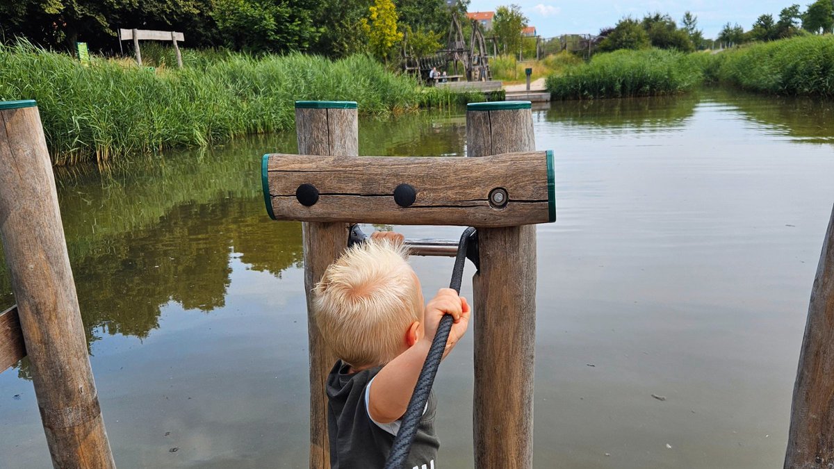 💧 Blauwalg in water bij Tuin van Floddertje!

Let daarom goed op en vermijd contact met het water. Bij de locatie is een waarschuwingsbord geplaatst. We houden de #waterkwaliteit goed in de gaten en als uit onderzoek blijkt dat de #blauwalg verdwenen is, laten we dit weten.