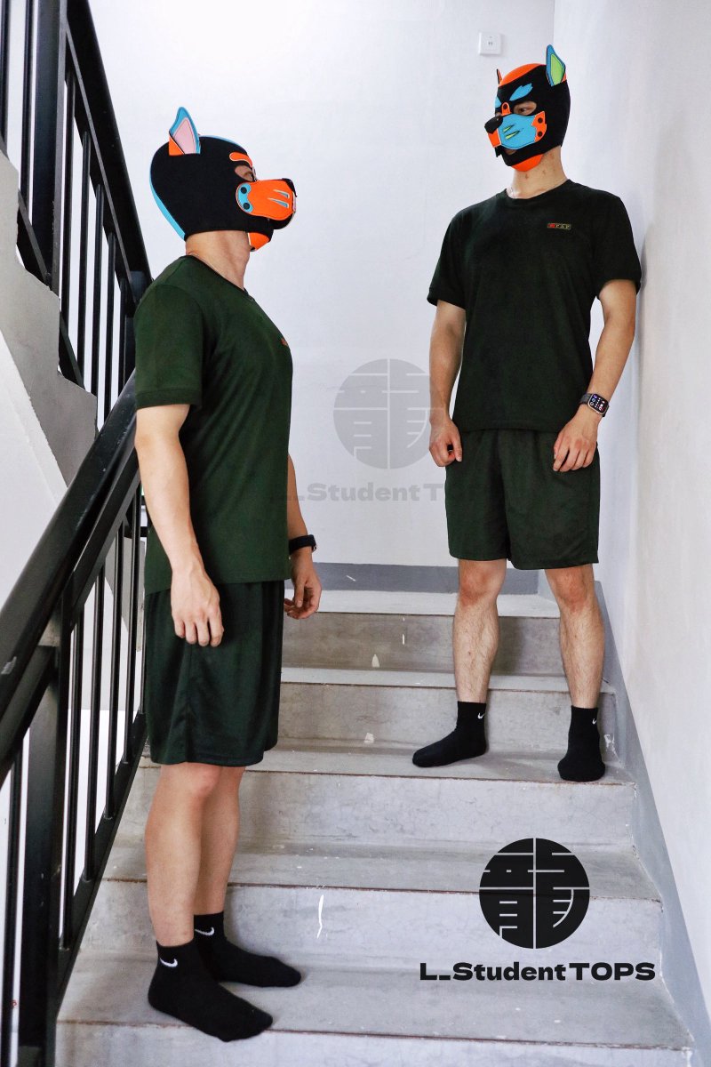 L_StudentTOPS's tweet image. 楼道里的狗狗
#muscle #system