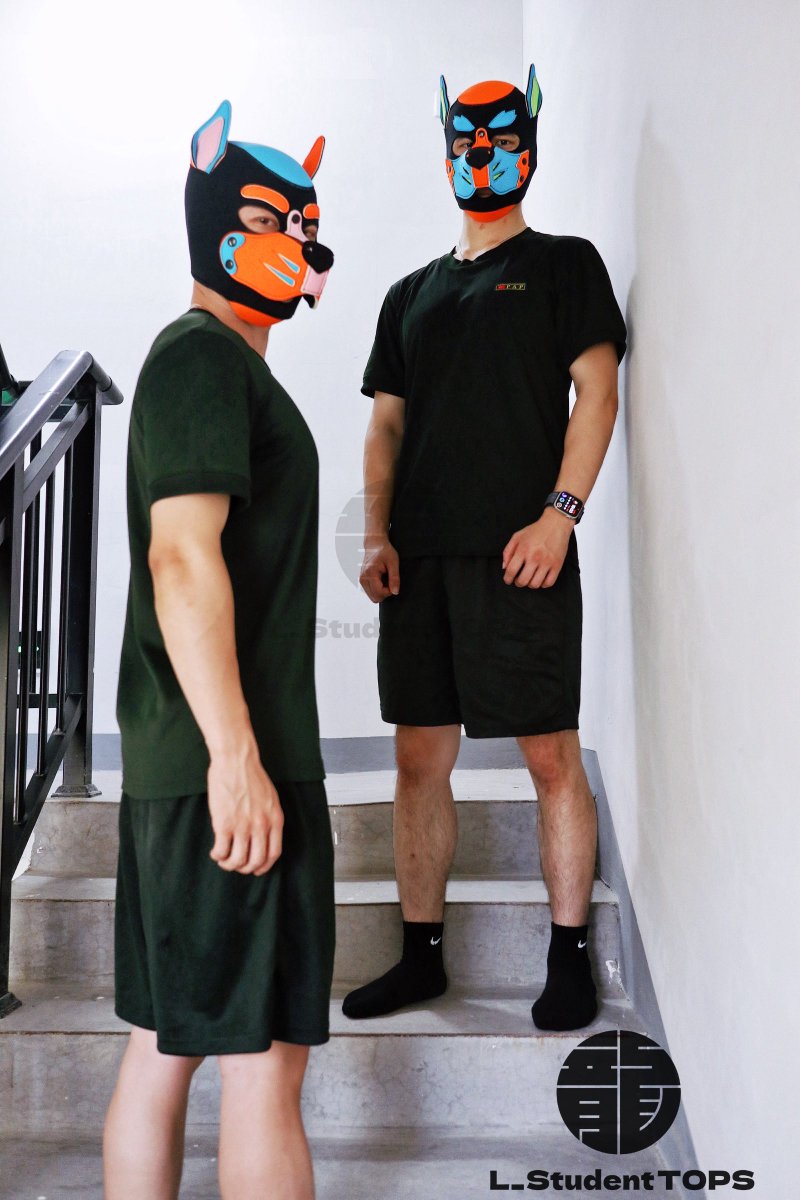 L_StudentTOPS's tweet image. 楼道里的狗狗
#muscle #system