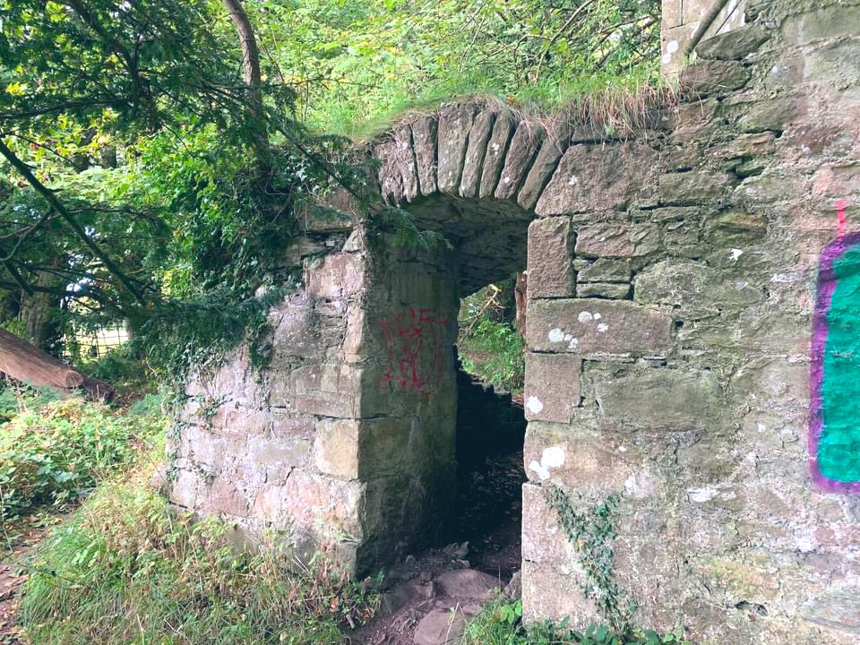 EyeintheskyGla's tweet photo. A summers day hike above Cardross to the 16th century Kilmahew Castle Ruins #kilmahew #ruins #summer #holidays #picnic #daysaway #walking #hiking #argyle #cardross #Scotland #History #castle #architecture #helensburgh #hillwalking #westcoast https://t.co/HOXGxJ3vX2