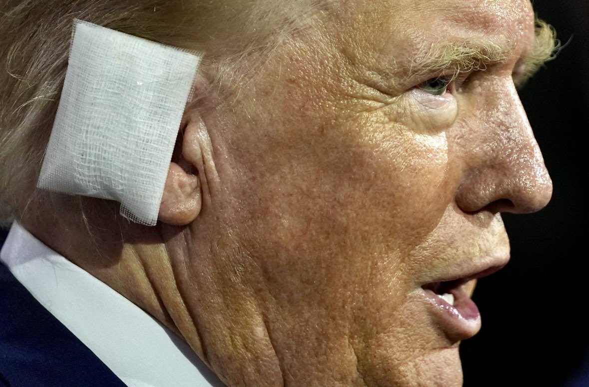 sal calanni tweet media