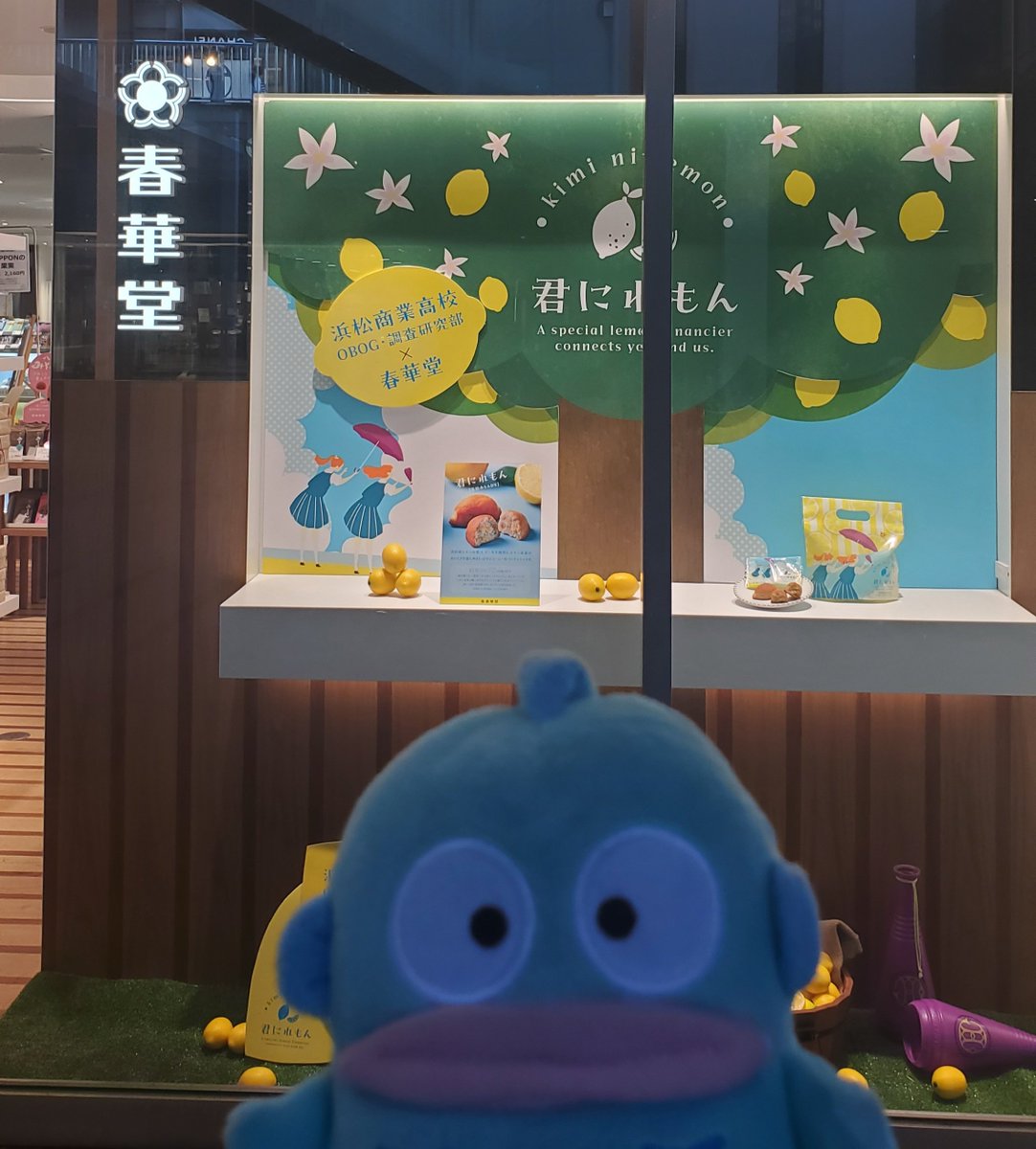 burahangyo's tweet photo. #MeetsSHIZUOKA
#浜松　の　#遠鉄百貨店　の地下にある　#春華堂　のショップにあった　#うなぎパイ　パック
#土用の丑の日　に向けての限定パックだって
#ハンギョドン　#サンリオ
#遠州鉄道　#entetsu
#JR東海　#推し旅 https://t.co/TZPwR3WYVR