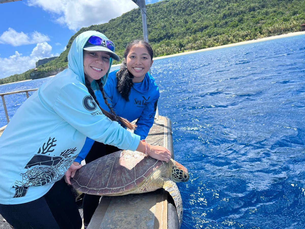 UOG Sea Grant sea turtle biologists Addie Ferguson and Raianne Quichocho assisted the NOAA Fisheries’ PIFSC Marine Turtle Biology and Assessment Program team in satellite tagging and releasing 6 green sea turtles off the coast of Guam. 
NMFS 21260