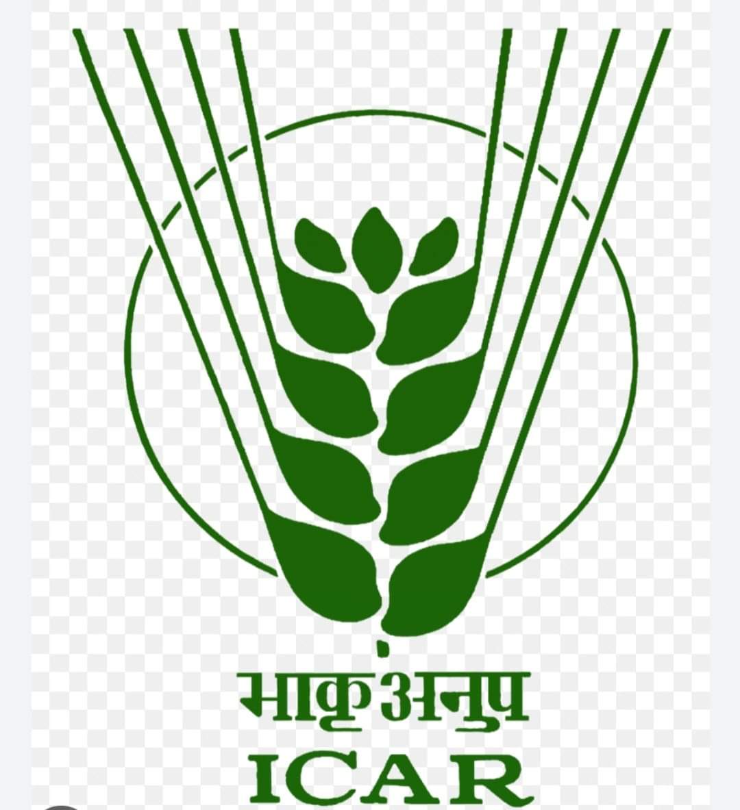 Happy Foundation Day of the Indian Council of Agricultural Research (ICAR)- Proud to be a part of this great organization! 
#OneICAR #ICARfoundationday <a href="/PMOIndia/">PMO India</a> <a href="/ChouhanShivraj/">Shivraj Singh Chouhan</a> <a href="/PIB_India/">PIB India</a> <a href="/mygovindia/">MyGovIndia</a> <a href="/AgriGoI/">Agriculture INDIA</a> <a href="/DDKisanChannel/">Doordarshan Kisan - दूरदर्शन किसान</a> <a href="/Dept_of_AHD/">Dept of Animal Husbandry & Dairying, Min of FAH&D</a>