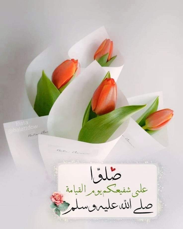 تَشْدُو بِذِكرِ نبيِّنا الخفقاتُ
وَبهِ يَطيبُ الذكرُ والصلَوَاتُ....
صَلّىٰ عليكَ اللّٰهُ يا غَيماً هَمَىٰ
فَوقَ القُلوبِ فحَلَّتْ الرَحَمَاتُ....
✨️
#اللهم_صل_وسلم_على_نبينا_םבםבﷺ 
#صلاة_الفجر
#طبتم_وطابت_اوقاتكم
#قروبات_ريم_للاضافات_والدعم 
       ✨️