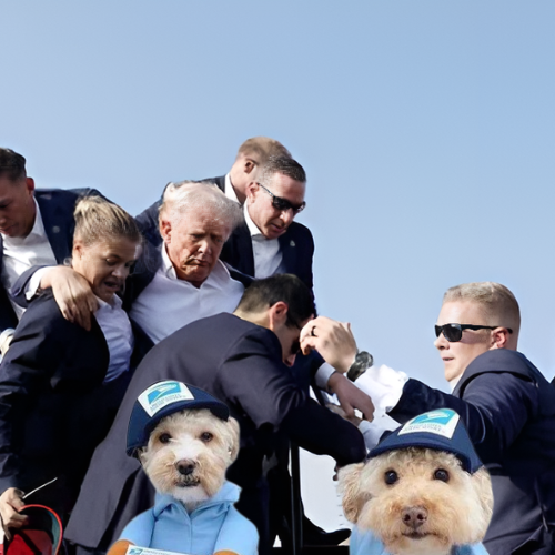 <a href="/Cold_xyz/">Cold</a> <a href="/MOB_CTO/">$MOB COIN</a> CA 5MGeDPVGaSAGYVJJiqFrc72dUQaZD7okKqsK4bQcpump

dexscreener.com/solana/4dbuomf…