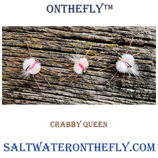 Saltwater on the Fly tweet media
