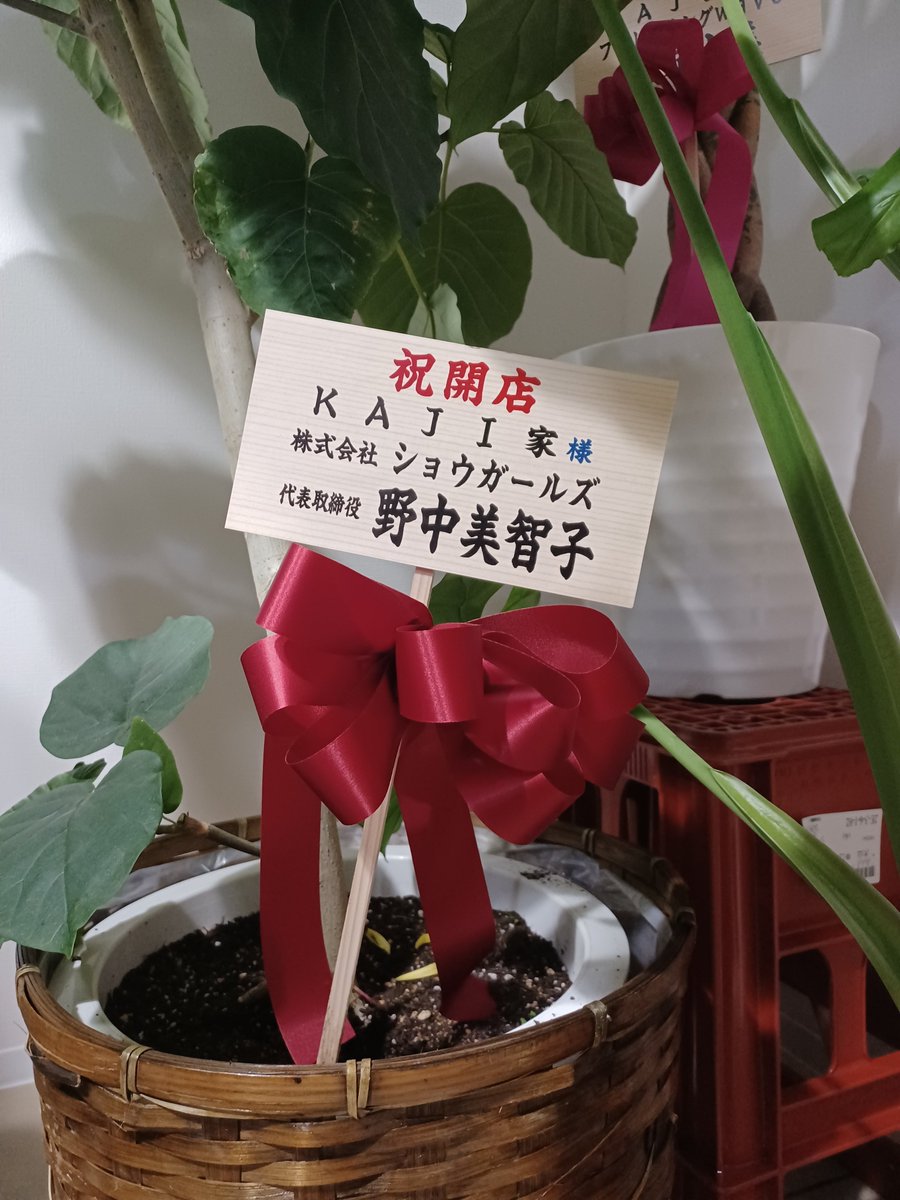 🐥MARU🐥水色革命 on X