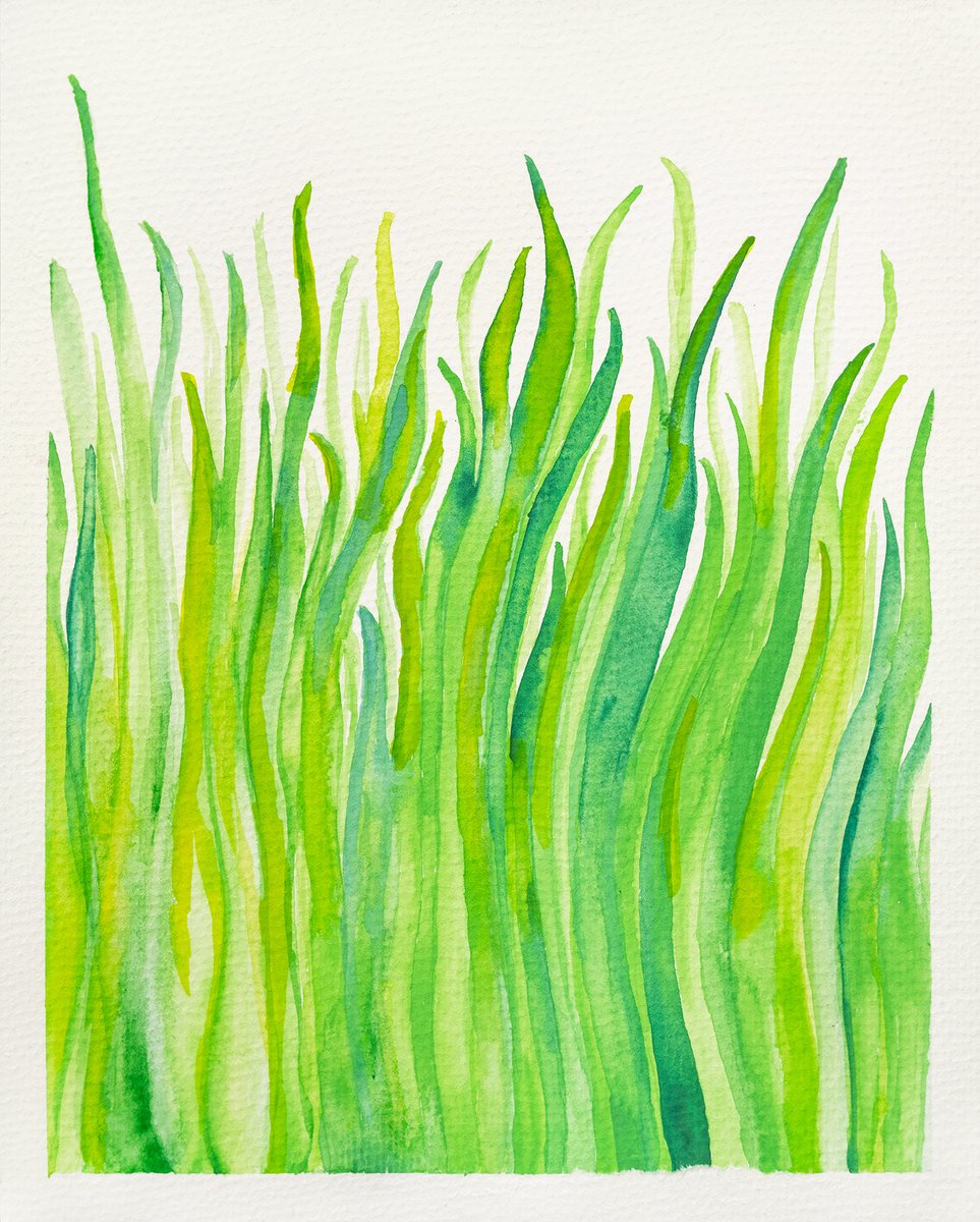 Our brand is growing fast! Key production announcement coming in the next 48hrs, follow us for updates 🌿⏳ Original watercolour by Coiffe Drops founder.
#newbrand #originalartwork #womeninbusiness #creative #allnatural #hairproduct #essentialoils #hairtreatment #magichairstuff