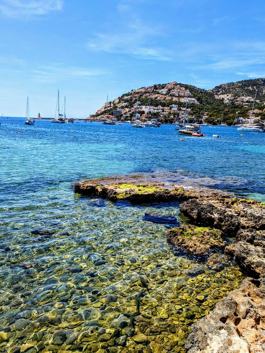 Małgorzata (@magorza43192548) on Twitter photo 