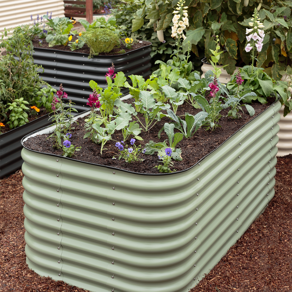 Farming4AllFL's tweet photo. We are thrilled to be partners with Botanical Interests!  Today is the last day to snag 25% OFF Metal Raised Garden Beds.  Affiliate link:  https://t.co/x014bkWiVg  
We use 3 of the 29" large beds for our backyard kitchen garden.  🌱❤️  #raisedbedgarden #garden #zone9b https://t.co/vUeY0CHs1X