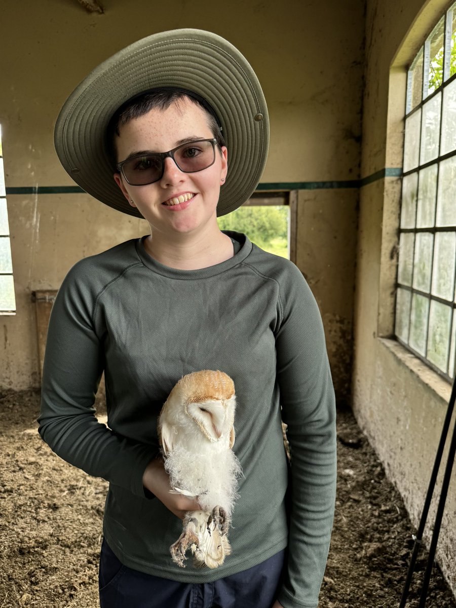 Birdnerdjenny's tweet photo. Incredible day spent in the wilds of Kent with schedule 1 licence ringers monitoring barn owl nests and ringing chicks! https://t.co/59FdhIKVx5