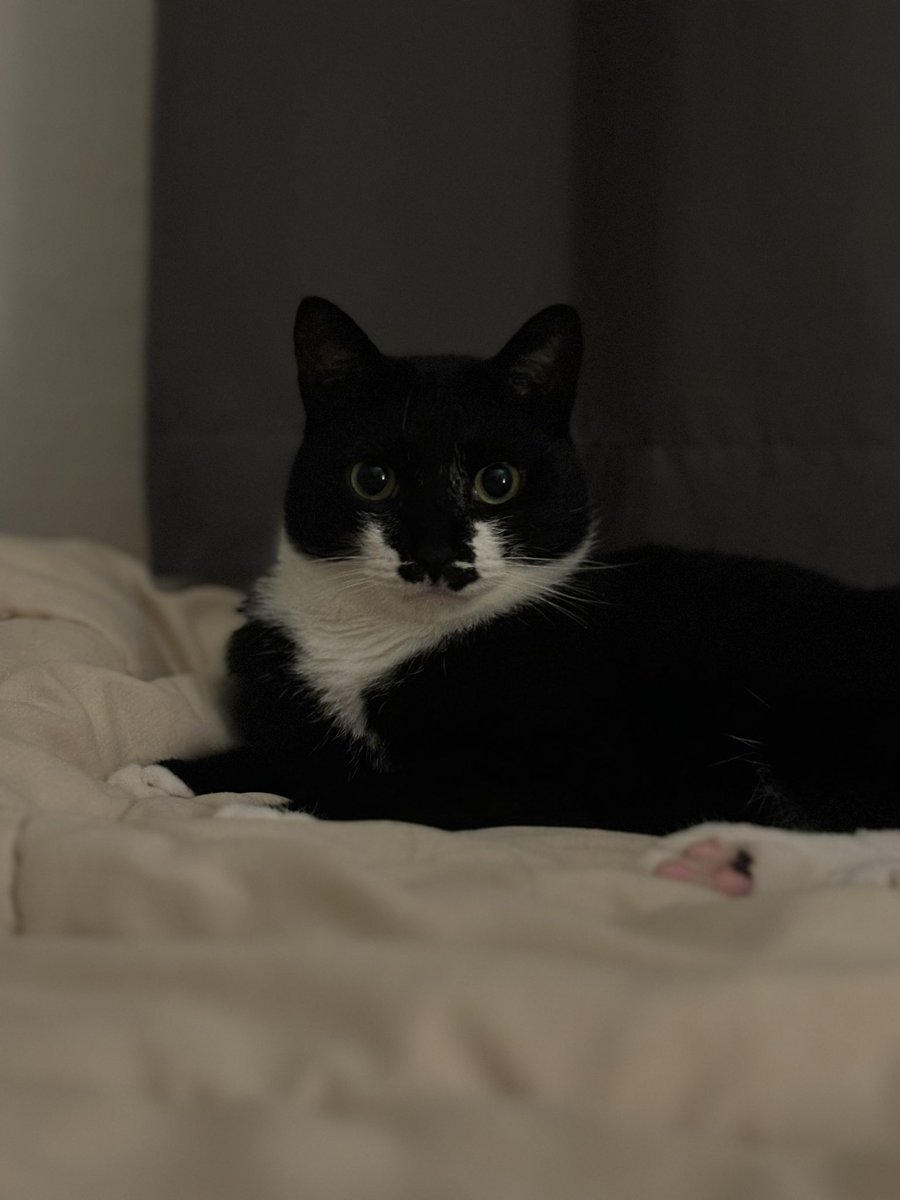 발바닥도 잘생긴 우리집 멋쟁이 신사분