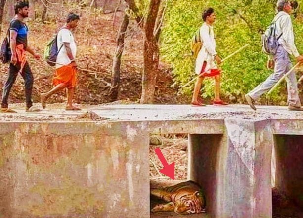 dc_sanjay_jas's tweet photo. अगर समस्याओं का पता न चले, तो जीवन शांति से चलता रहता है..!
😊 https://t.co/DKGG264RVV