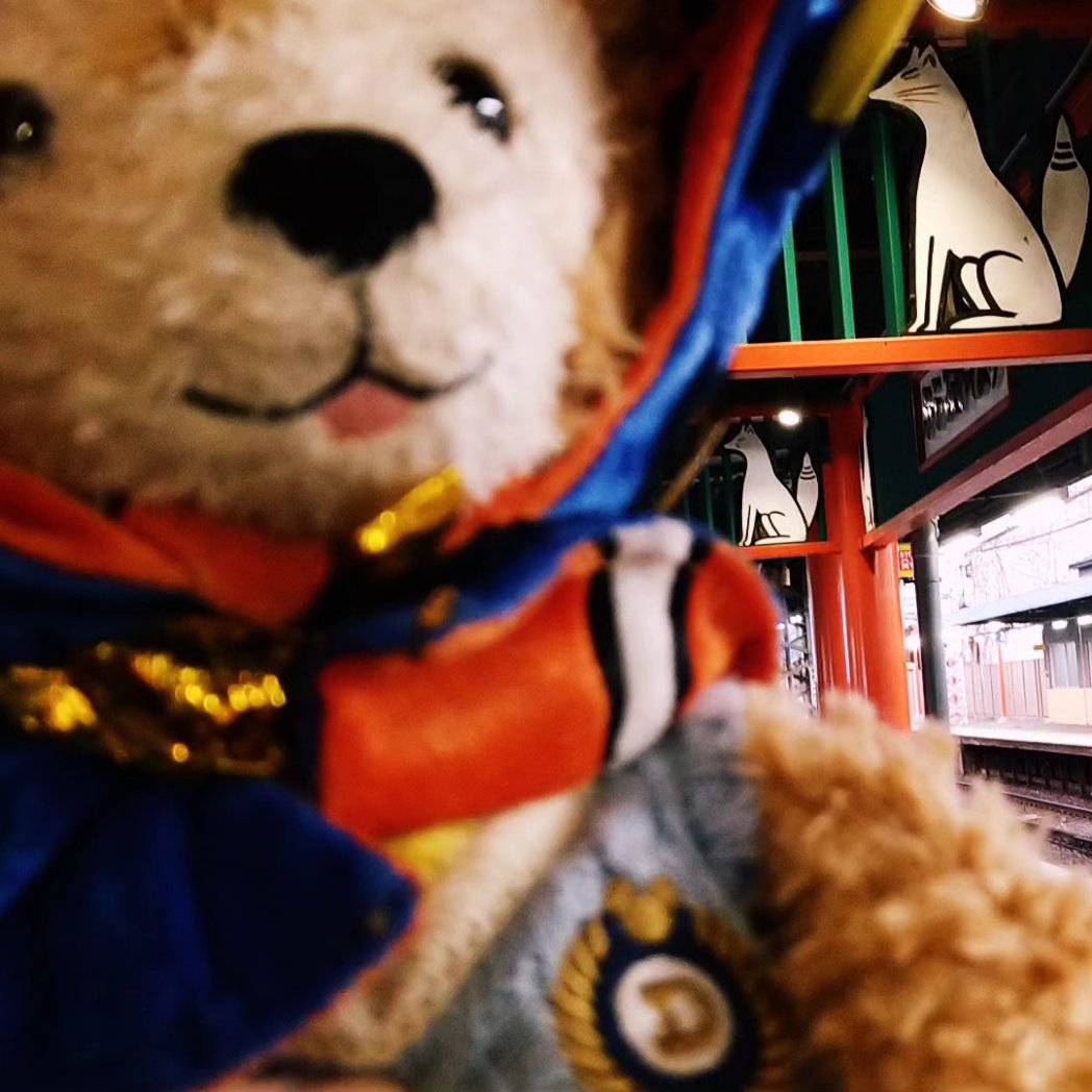 【いんすたぐらむ】
1/17の京都の写真を追加しました。写真はボケてるうちのダフ。