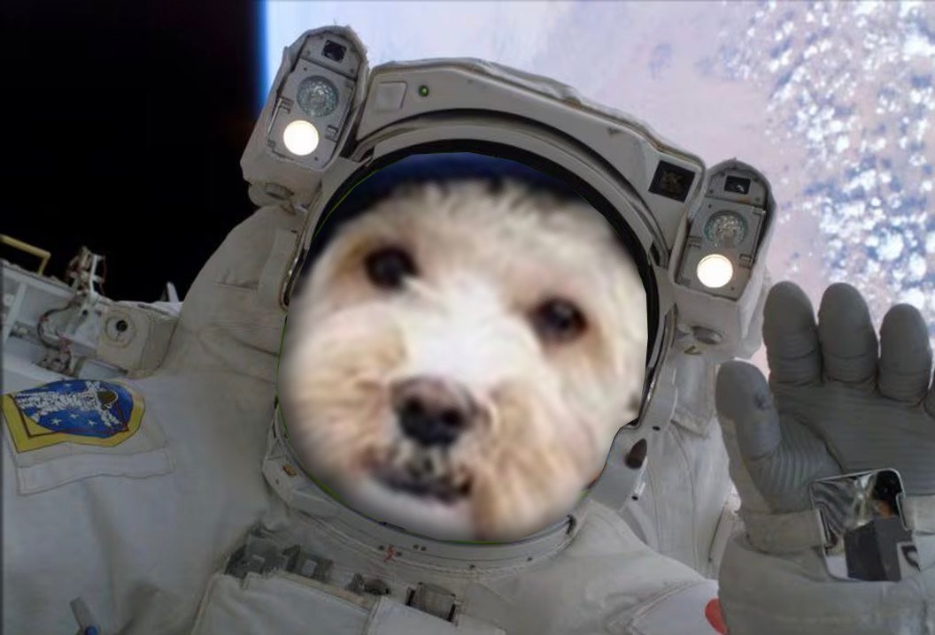 <a href="/Dior100x/">Dior</a> $SENDORS Let's go to the moon <a href="/Dior100x/">Dior</a>