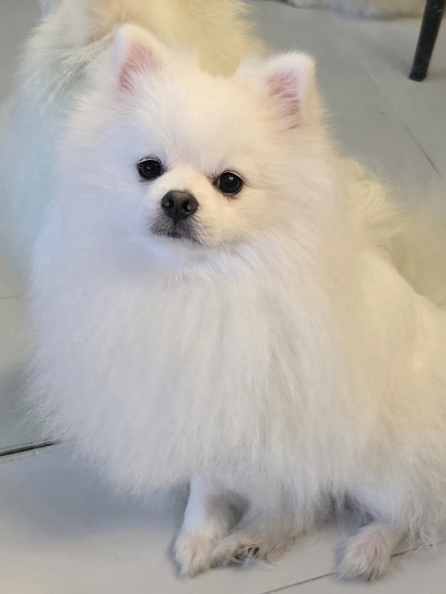 nbvneverquits's tweet photo. The looks that melt my heart ❤️ https://t.co/kFcqDT8wpp