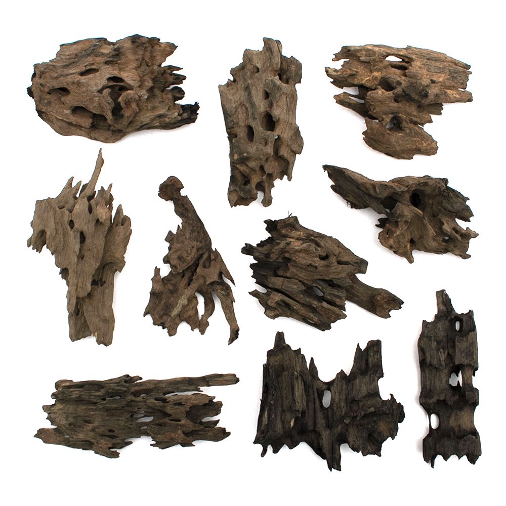 流木　チャーム　ハニカムウッド 新商品紹介 一点物でしか販売していなかった「ハニカムウッド」を形状