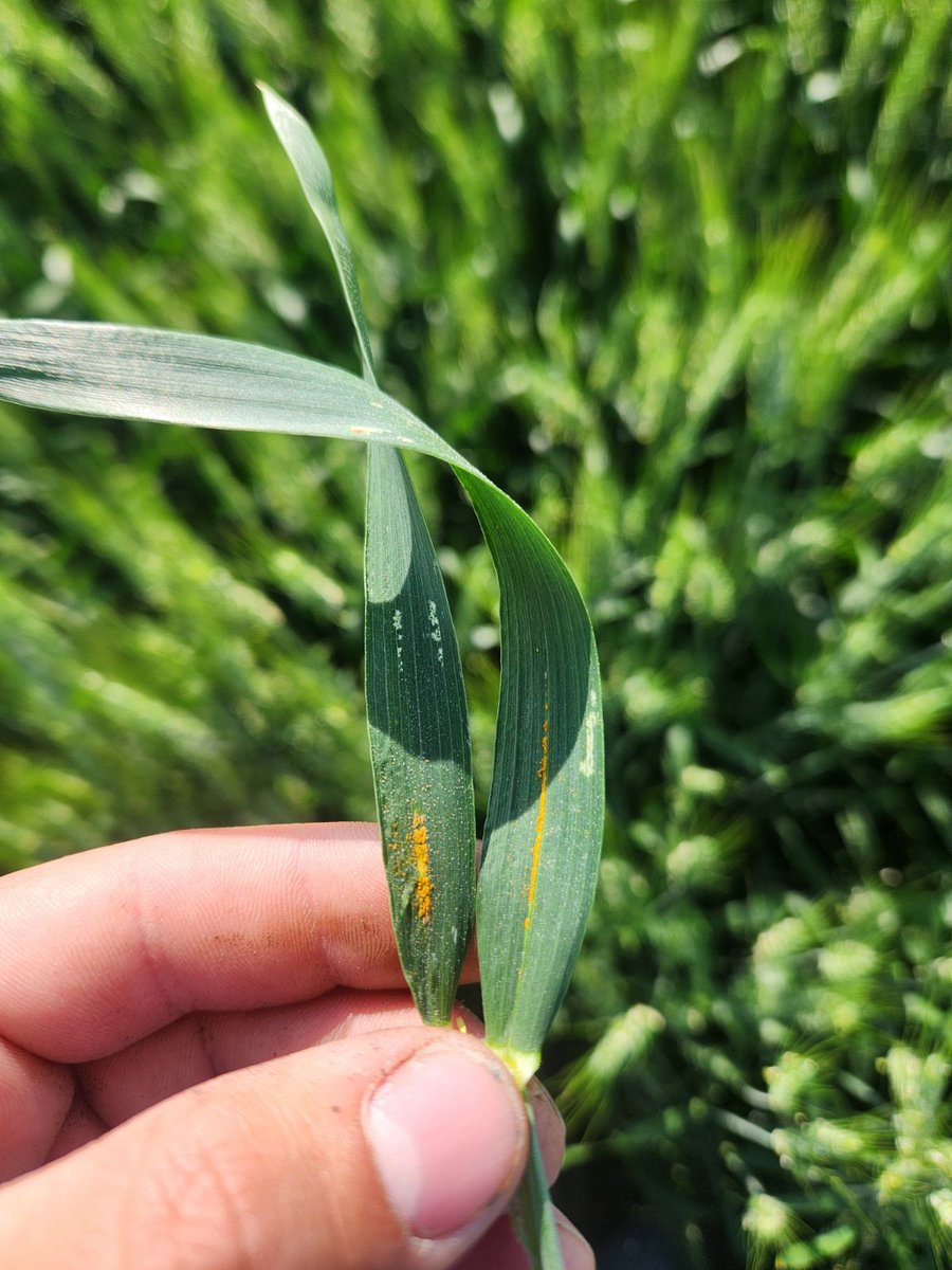 Craig Shand tweet media