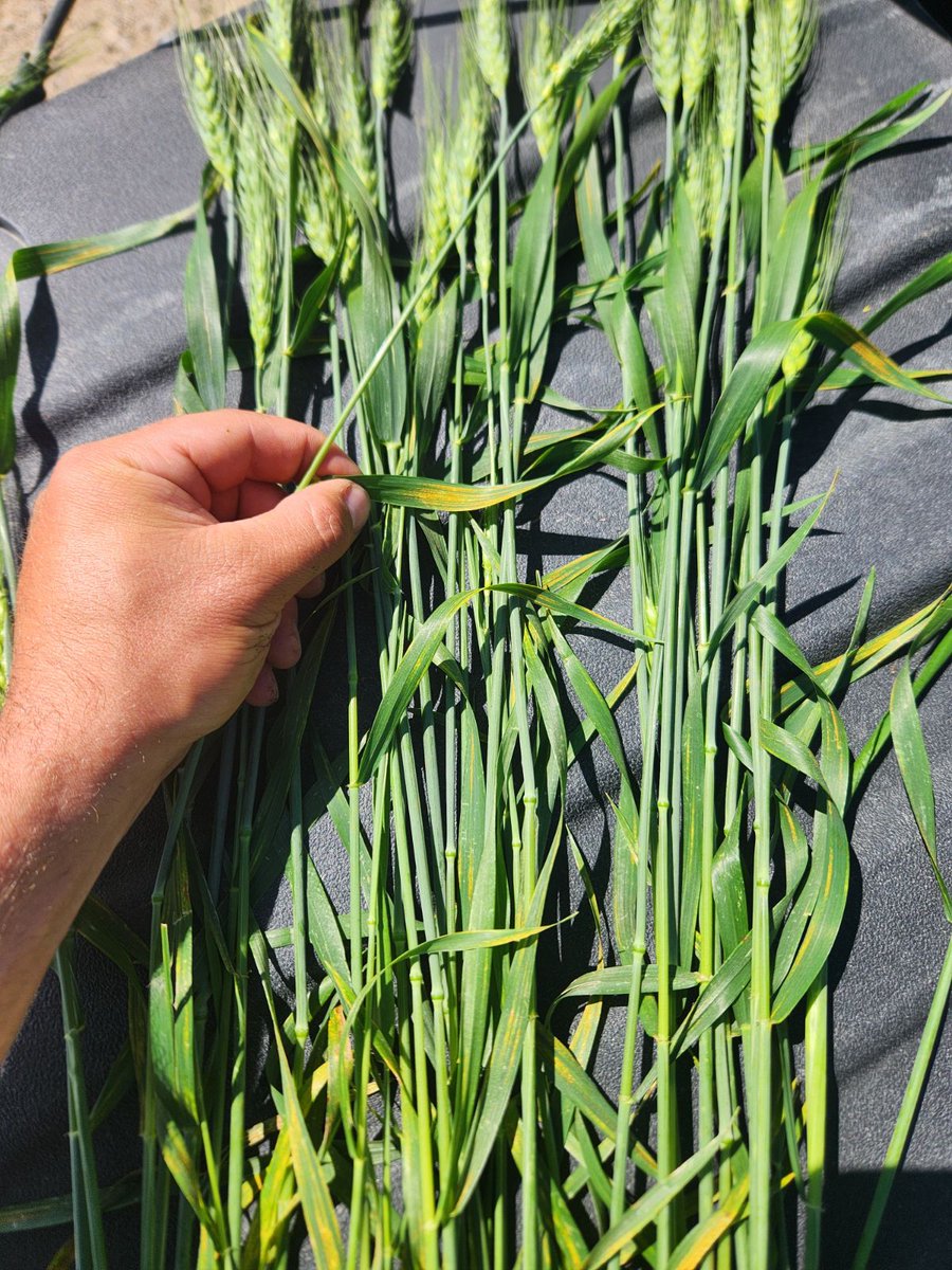 Craig Shand tweet media