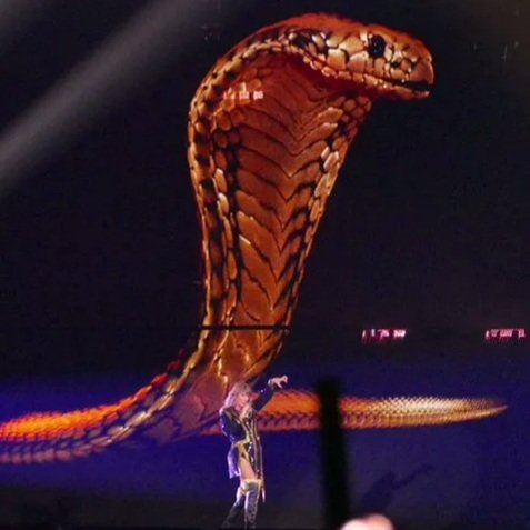 Hoje, 16 de julho, é o Dia Nacional das Cobras, o dia favorito do ano de Taylor Swift. 🐍🖤