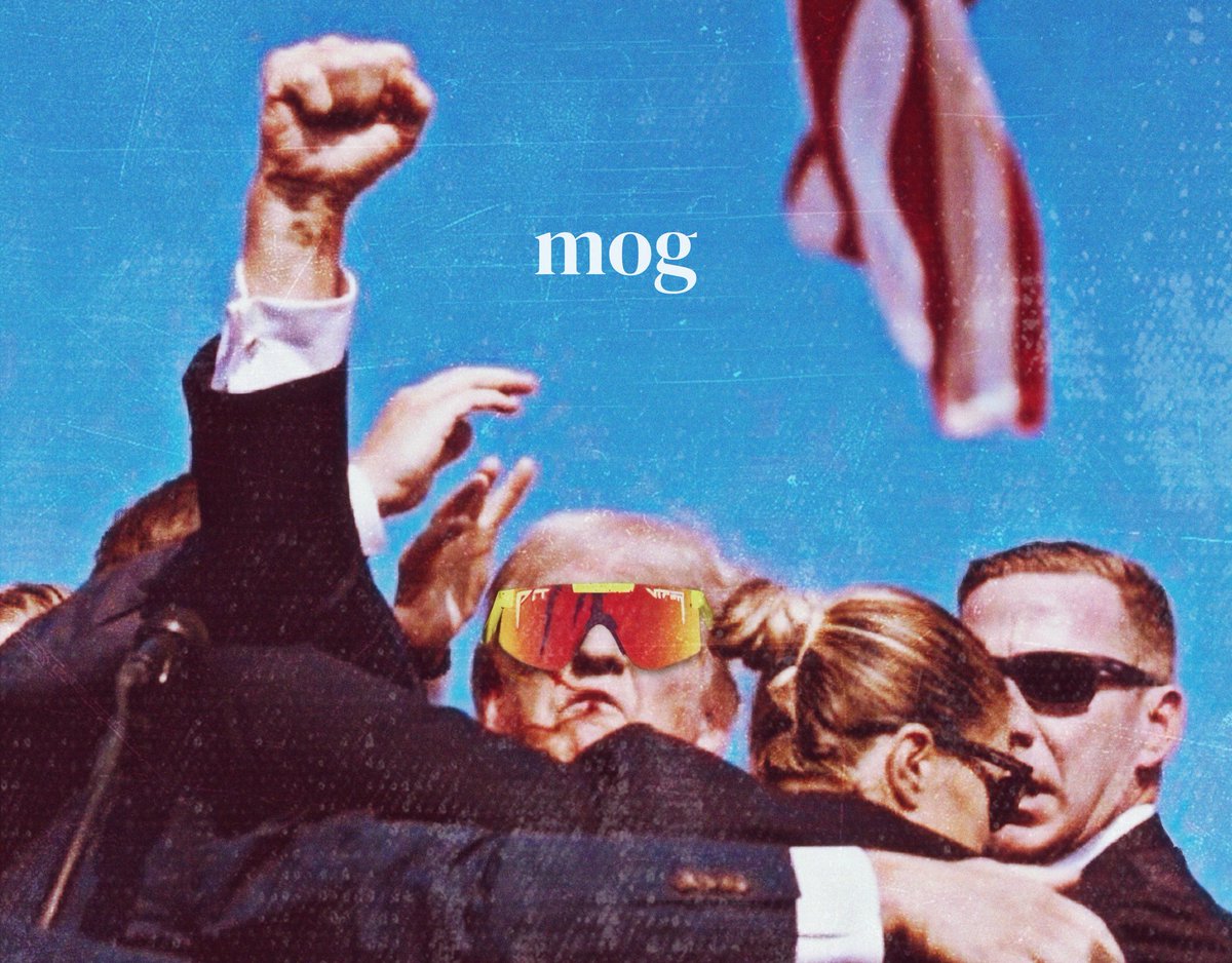 MOG_BSC's tweet photo. Make America Mog Again 🫵😹 🇺🇸 https://t.co/vcmXdSePhl