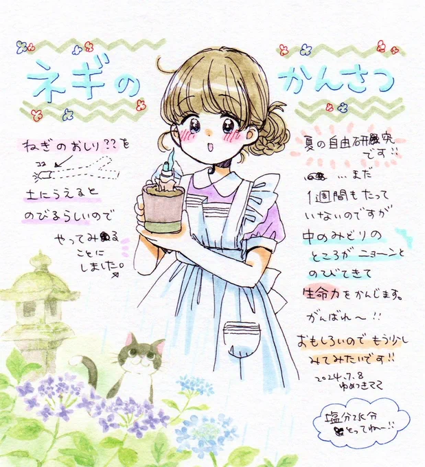 変な自由研究、オトナもしていこう❣ 