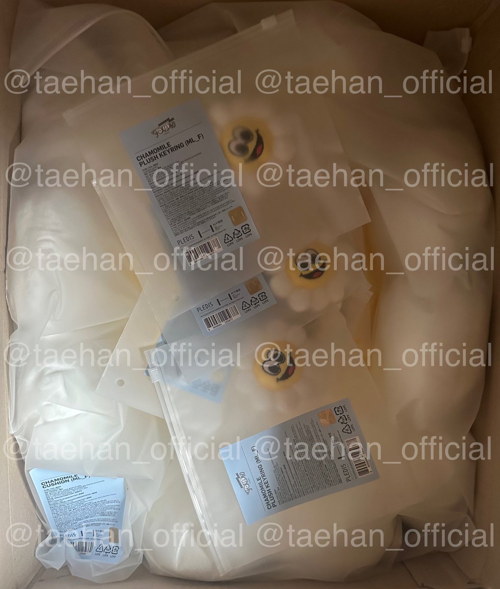 taehan_update's tweet photo. ✨UPDATE✨ SEVENTEEN Chamomile Cushion / Plush Keyring  และ V FRI(EN)S Bear Keyring ตอนนี้สินค้าเข้าโกดังที่เกาหลีแล้วนะคะ รอรอบส่งกลับไทยเร็วๆนี้ค่า ใครสั่งไว้แล้วรอรับสินค้ากันได้เลยน้า 🎉 https://t.co/NJwmcgdqkD