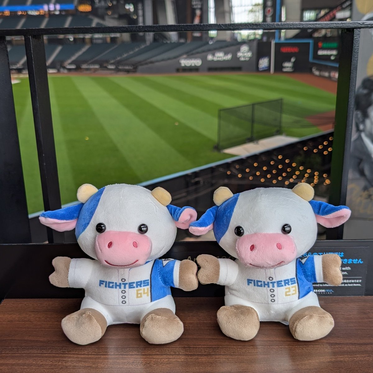 ファイターズ うしぬいぐるみくじ 4等・田宮裕涼 直筆サイン入り 美品 2024.7.16 #うしぬいぐるみくじ 選手展開かわって また昨日から