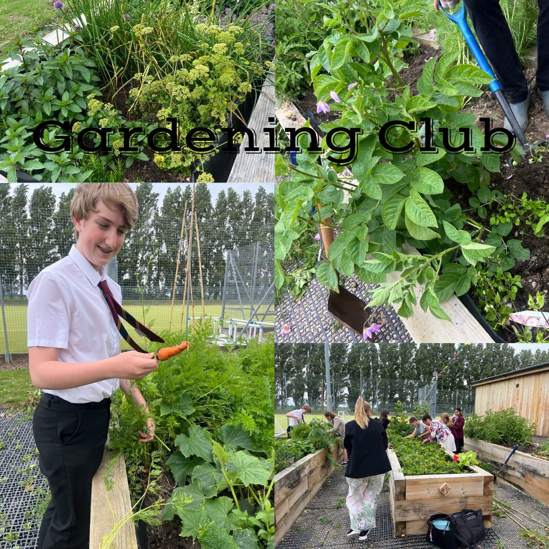 Our garden harvest ahead of race for life fund raising!
