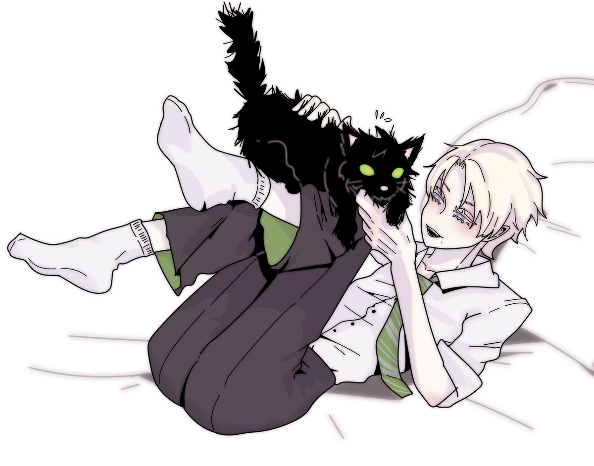 D35v8's tweet photo. draco found a strange cat ^ ^ https://t.co/wJtpTXiStk