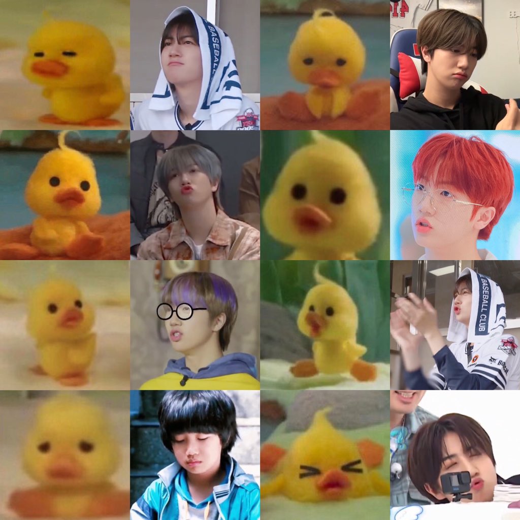 rubyhamjin's tweet photo. wonjin as mofy duck ʚ(•ө•)ɞ https://t.co/odvqyOZgfe
