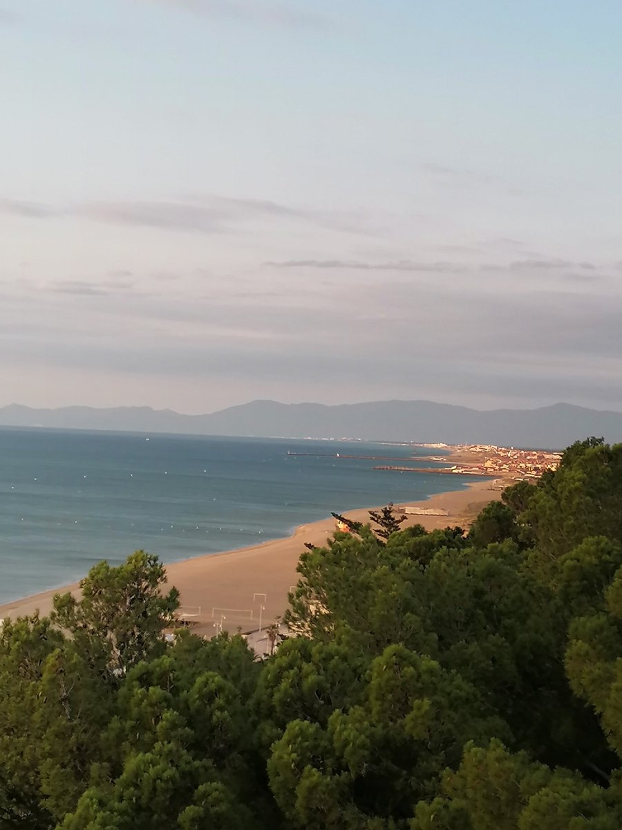 Lisa -Eddie & Benson's Mum 💙#FBPE🇺🇦🇪🇺 tweet media