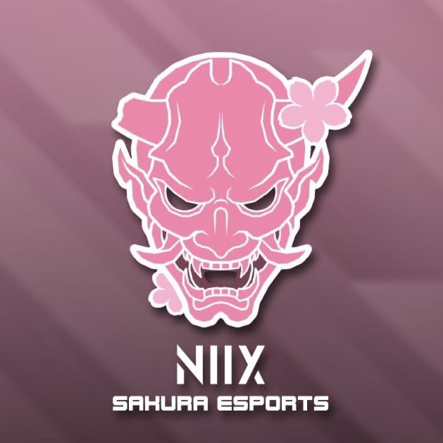 SKR Esports tweet media