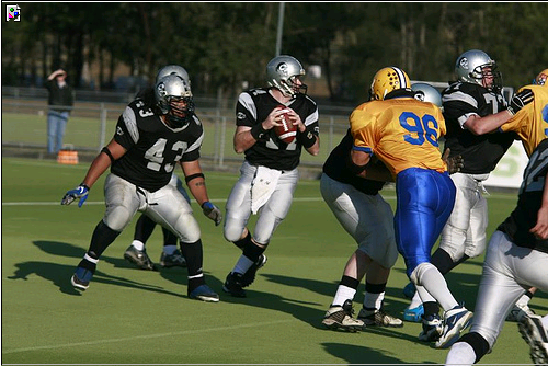 West Sydney Gridiron tweet media