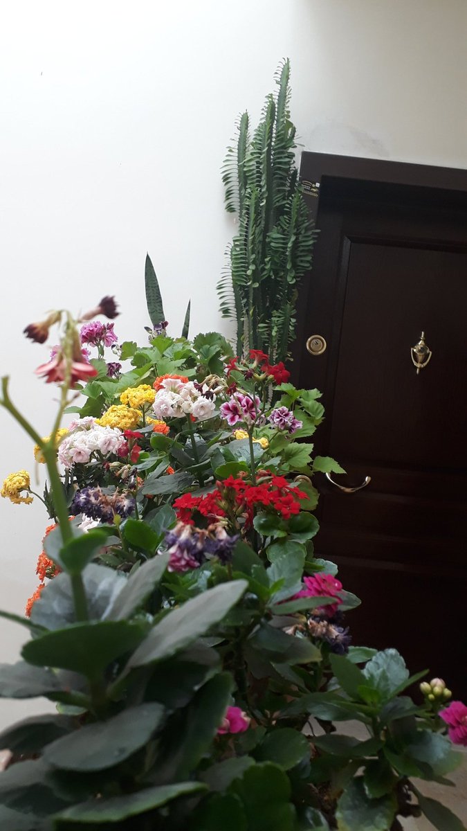 Günaydın kapıda bekletmeyenlere.