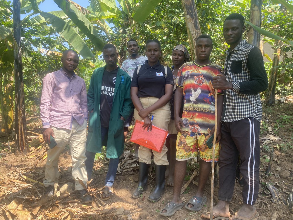 CoffeeDicana's tweet photo. There’s no better way to secure the future of coffee than to make farming attractive to the youth
#kawacomdemoestablishment
#dicanacoffee https://t.co/4VvQ4AsvXo