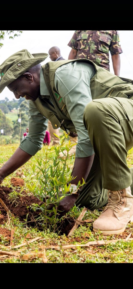 Thimlich's tweet photo. Let us plant 🌲🌲🌲 for our own benefit and for the benefit of the future generation. https://t.co/Cxpwflvttg