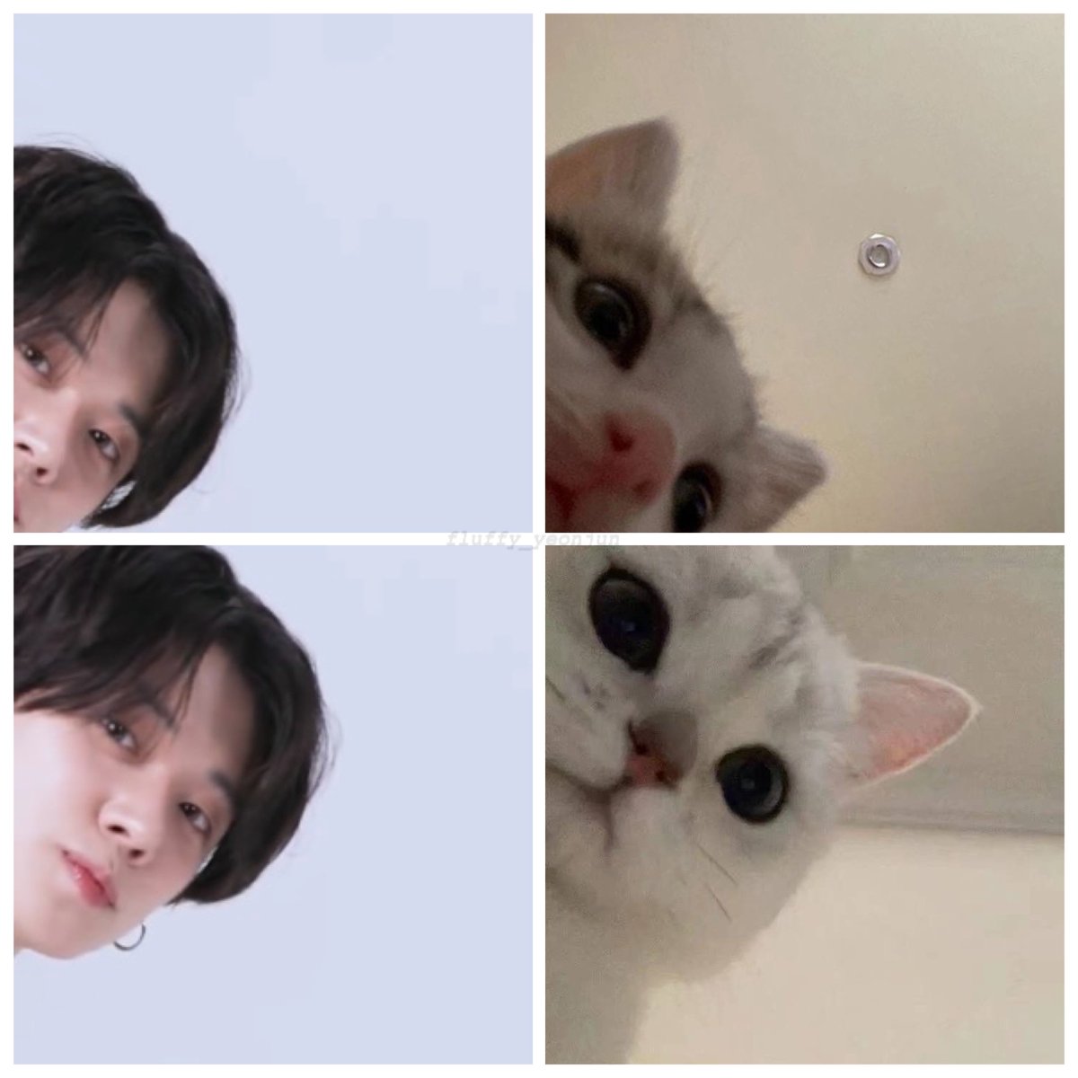 🍼uwu y쭌 우유🐾🏀 tweet media