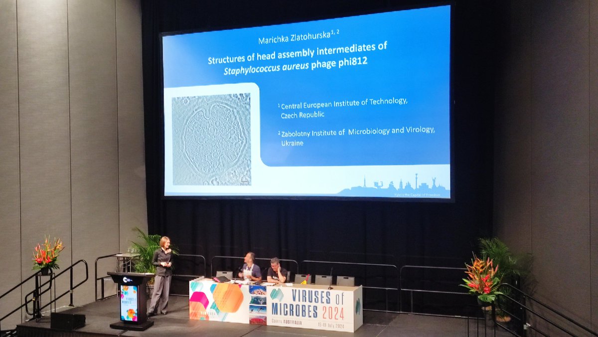 PlevkaLab's tweet photo. Congrats to Maricka @zlatohurska for her great talk! 👏🏼👏🏼
#VoM2024
Tomorrow, Mateo @handmadefilms will be happy to discuss with you the phiKZ baseplate structure at the poster board 070WE https://t.co/9pkU4Y6GkF