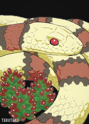 「#世界ヘビの日 ヘビには多肉植物がよく似合う #虹の玉 」|TEKUTEKUのイラスト