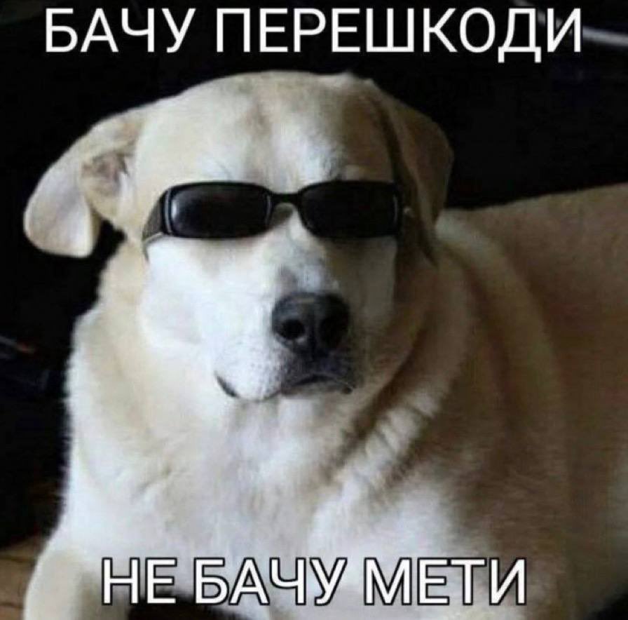 schtangen's tweet photo. Хочу малювати, але спека та відключення світла мене вбивають🥴🥴🥴 https://t.co/MuqOG4SkUQ