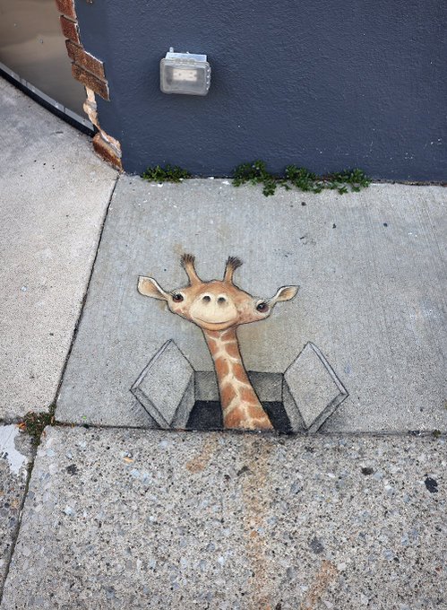 HomesAtMetacoda's tweet photo. The beauty of imagination and creativity!
#davidzinn #art #chalkart #imagination #creativity
RT @davidzinn_art
Margaret lives in a basement apartment with the best possible view. #StreetArt #SidewalkChalk #BeforeAndAfter #giraffe #skylight #HelloDownThere https://t.co/L9DutzBgPS
