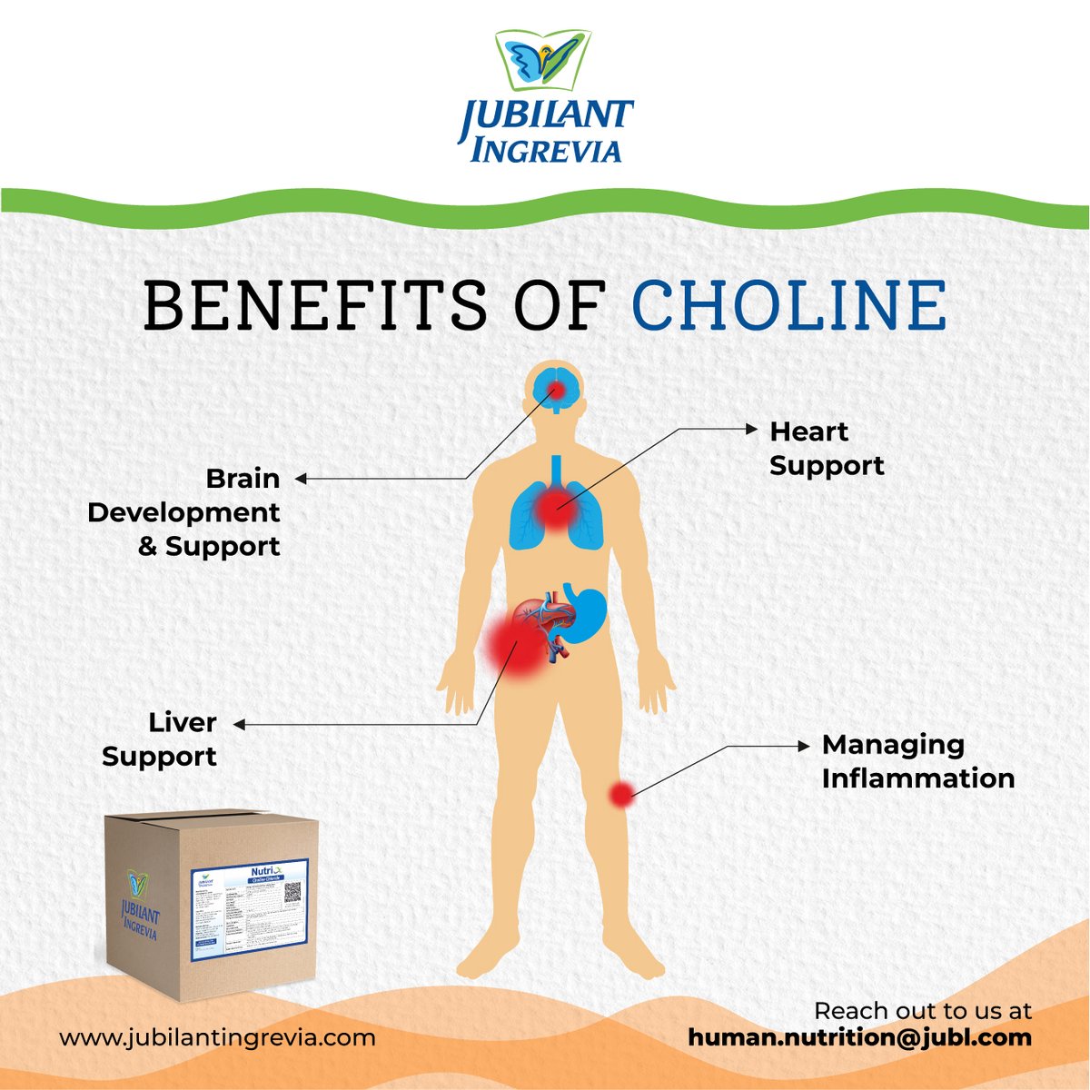 ingrevia's tweet photo. Discover benefits of #Choline for brain development, heart health, liver support &amp; #inflammationmanagement

Enhance your #humannutrition products with our premium #CholineChloride &amp; #CholineBitartrate

Explore here: https://t.co/kMndQAKHem

human.nutrition@jubl.com

#Jubilant https://t.co/SNRZurnWiH