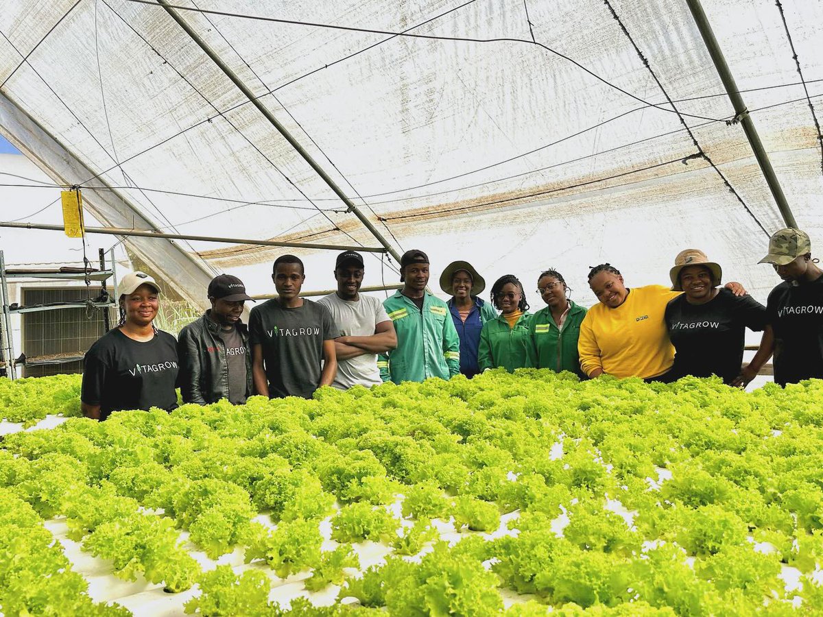 myvitagrow's tweet photo. “Behind every successful company are the hardworking individuals who make it all happen. Proud to introduce you to the Vitagrow Urban Farms incredible team that fuels our success! 💪🏽🥬🥒🫑🌿☘️

#hydroponicszimbabwe #hydroponicfarming #urbanfarming  #workfamily #myvitagrowzim https://t.co/x921vhTkcw