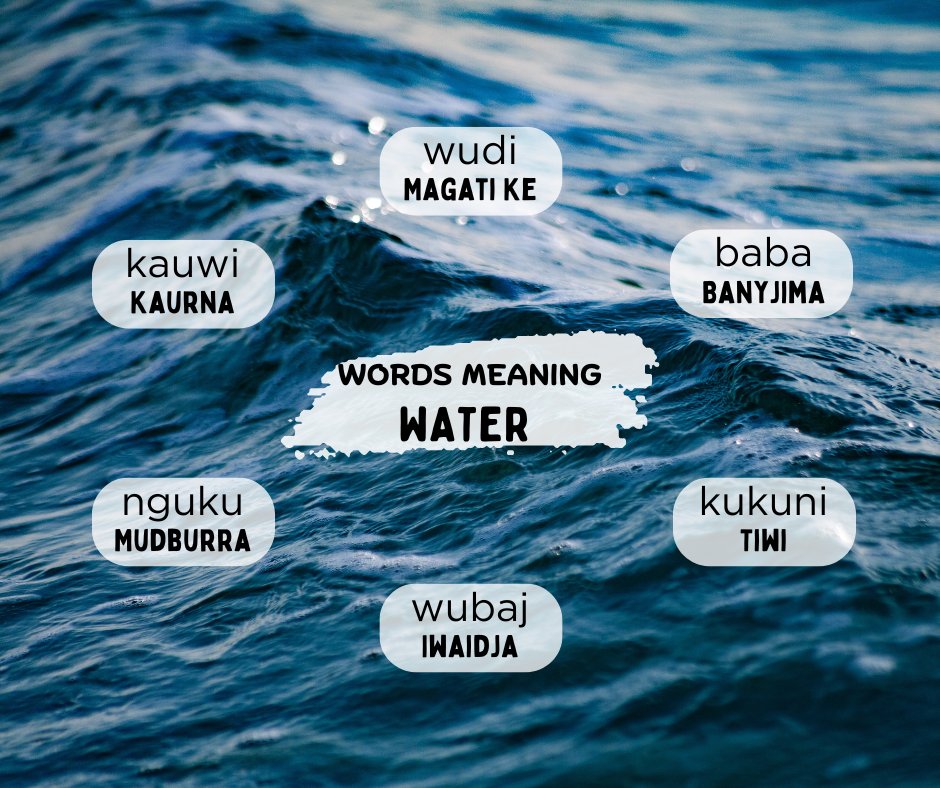 RUIL Unimelb (@indiglang) on Twitter photo Here are six words for water in six Indigenous languages. Listen and learn at the 50 Word Project link below. 50words.online/languages
#learnlanguages #IndigenousLanguages
<a href="/ArtsUnimelb/">Faculty of Arts</a>
<a href="/IKI_Unimelb/">Indigenous Knowledge Institute</a> Here are six words for water in six Indigenous languages. Listen and learn at the 50 Word Project link below. 50words.online/languages
#learnlanguages #IndigenousLanguages
<a href="/ArtsUnimelb/">Faculty of Arts</a>
<a href="/IKI_Unimelb/">Indigenous Knowledge Institute</a>