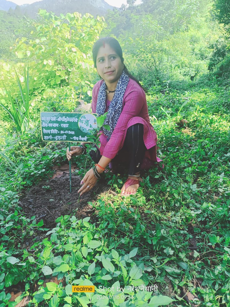 NrlmDunda's tweet photo. "Ek Ped Ma K Naam" On the occasion of #Harela2024
Dunda Block plantation done by #SHGs members &amp; Block team
@Harela2024
@CdoUttarkashi 
@DmUttarkashi https://t.co/5HSWO0R6dI